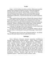 Drabužiai sezonams 2 puslapis