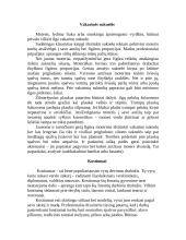 Drabužiai sezonams 3 puslapis