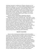 Drabužiai sezonams 5 puslapis