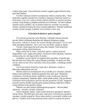 Drabužiai sezonams 7 puslapis