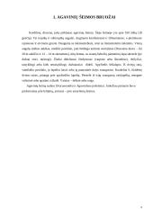Dracenų, jukų ir kordilinų įvairovė 3 puslapis