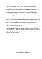 Duona, jos istorija, rūšys 2 puslapis