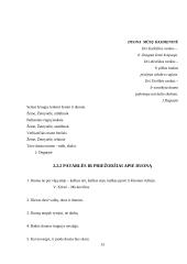 Duona, jos istorija, rūšys 13 puslapis