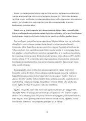 Duona, jos istorija, rūšys 18 puslapis