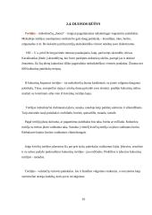 Duona, jos istorija, rūšys 19 puslapis