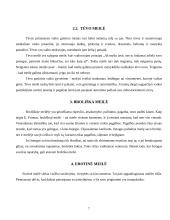 E. Fromas: meilė kaip produktyvumas 7 puslapis