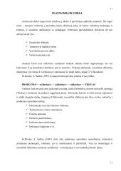 Ekologinis socialinio darbo modelis 10 puslapis