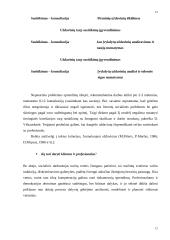 Ekologinis socialinio darbo modelis 11 puslapis