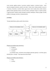 Ekologinis socialinio darbo modelis 18 puslapis