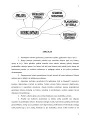 Ekologinis socialinio darbo modelis 4 puslapis