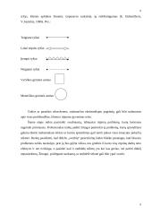 Ekologinis socialinio darbo modelis 7 puslapis