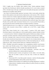 Empirizmo ir racionalizmo ginčas 3 puslapis