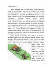 Erkinis encefalitas. Erkinio encefalito vakcina, vakcinos sudėtis, veikimo mechanizmas 2 puslapis