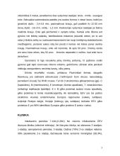 Erkinis encefalitas. Erkinio encefalito vakcina, vakcinos sudėtis, veikimo mechanizmas 3 puslapis