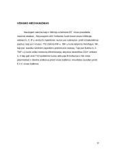 Erkinis encefalitas. Erkinio encefalito vakcina, vakcinos sudėtis, veikimo mechanizmas 10 puslapis