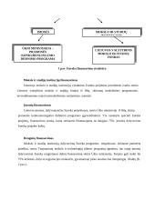 Europos Sąjungos (ES) mokslo programos 11 puslapis