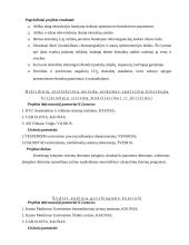 Europos Sąjungos (ES) mokslo programos 13 puslapis