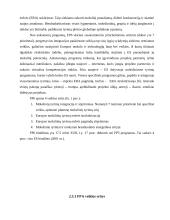 Europos Sąjungos (ES) mokslo programos 15 puslapis