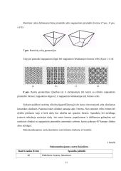 Fleksografinės spaudos mašinų dažų aparatų konstrukcijų analizė 11 puslapis