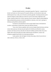 G.W.F. Hėgelio požiūris į teisę ir teisingumą 12 puslapis