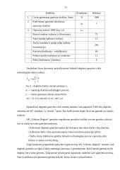 Gamybos organizavimas: AB "Vilniaus degtinė" 11 puslapis