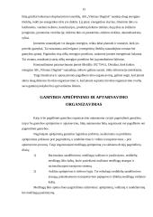 Gamybos organizavimas: AB "Vilniaus degtinė" 14 puslapis