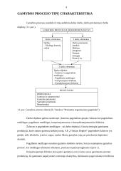 Gamybos organizavimas: AB "Vilniaus degtinė" 3 puslapis