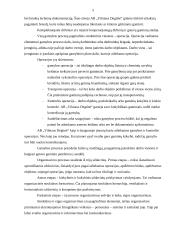 Gamybos organizavimas: AB "Vilniaus degtinė" 4 puslapis