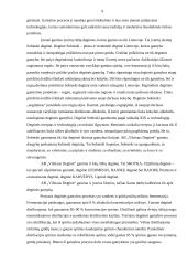 Gamybos organizavimas: AB "Vilniaus degtinė" 8 puslapis