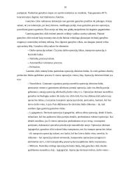 Gamybos organizavimas: AB "Vilniaus degtinė" 9 puslapis