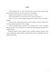 Gamybos procesas 2 puslapis