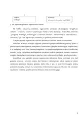 Gamybos procesas 7 puslapis