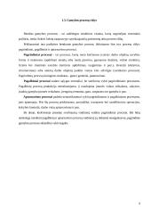 Gamybos procesas 8 puslapis