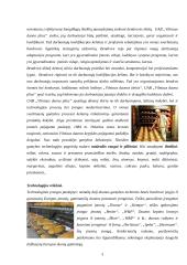 Gamybos technologija: UAB "Vilniaus duona plius" 2 puslapis