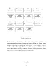 Gamybos technologija: UAB "Vilniaus duona plius" 13 puslapis