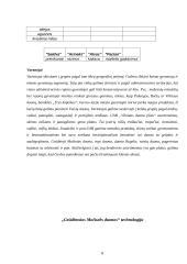 Gamybos technologija: UAB "Vilniaus duona plius" 7 puslapis