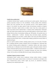 Gamybos technologija: UAB "Vilniaus duona plius" 8 puslapis