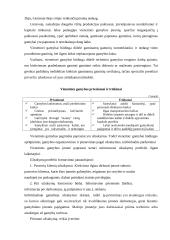 Gamybos tipai ir jų charakteristika 3 puslapis