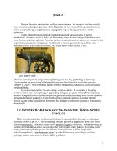 Gamtinės aplinkos ir asmens meninės veiklos sąsajos 2 puslapis