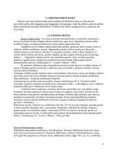 Gamtinės aplinkos ir asmens meninės veiklos sąsajos 3 puslapis