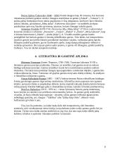 Gamtinės aplinkos ir asmens meninės veiklos sąsajos 7 puslapis