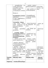 Garsažodinių refrenų įvairovė lietuvių tautosakoje 17 puslapis