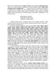 Garsažodinių refrenų įvairovė lietuvių tautosakoje 7 puslapis