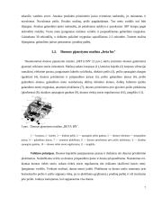 Gastronominių produktų pjaustymo mašinos 5 puslapis