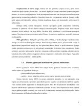 Gastronominių produktų pjaustymo mašinos 6 puslapis