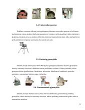 Gastronominių produktų pjaustymo mašinos 10 puslapis