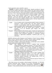 Geležies amžiaus moterų papuošalai 2 puslapis