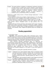 Geležies amžiaus moterų papuošalai 13 puslapis