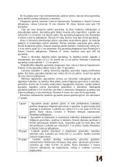 Geležies amžiaus moterų papuošalai 14 puslapis