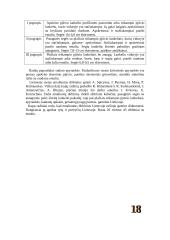 Geležies amžiaus moterų papuošalai 18 puslapis